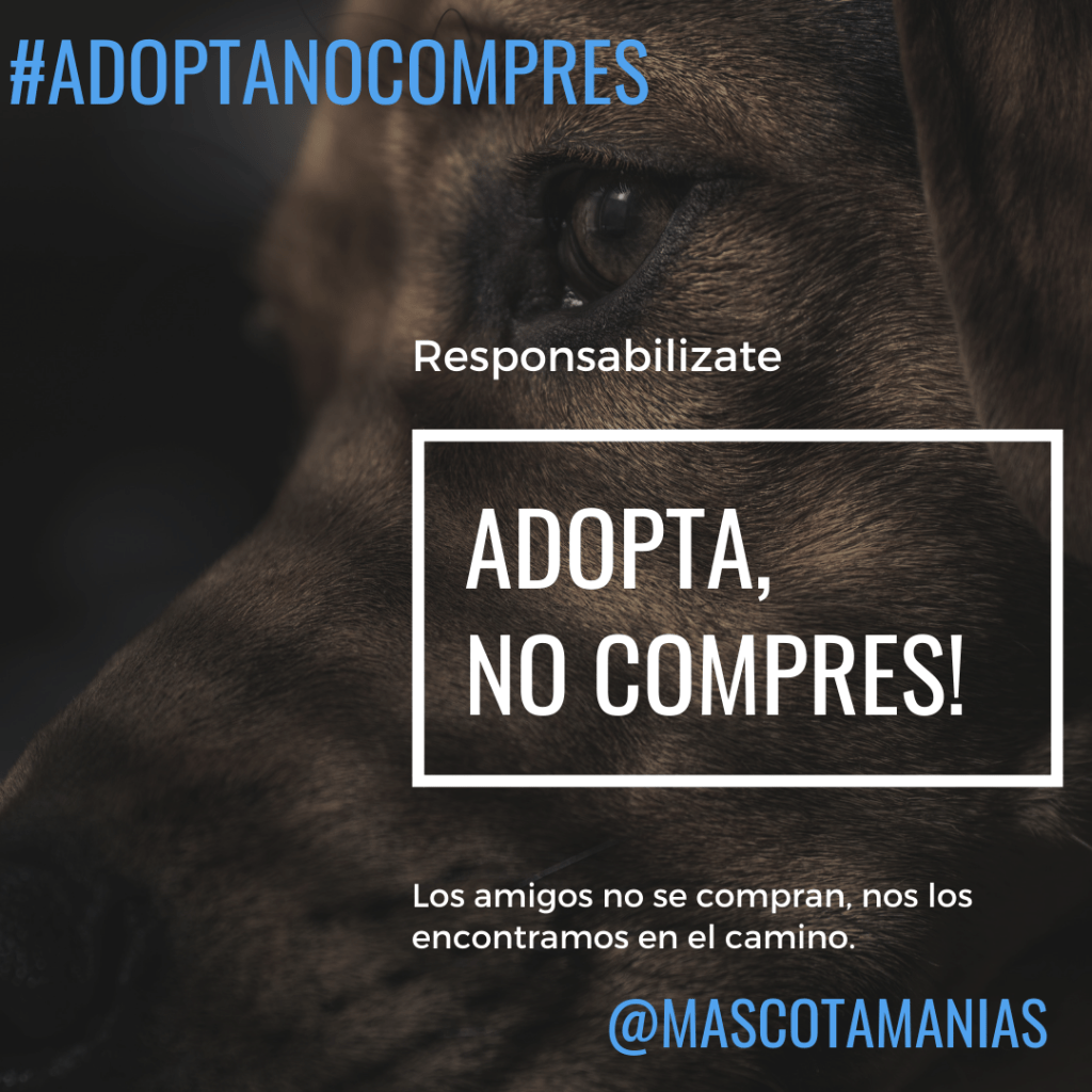 https://mascotamanias.com/adoptanocompres/